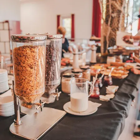 Hotel Vakantiedomein Hoge Duin