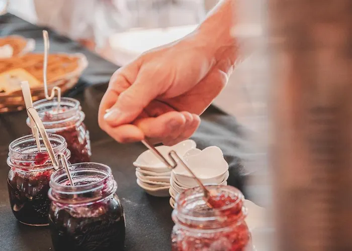 Vakantiedomein Hoge Duin