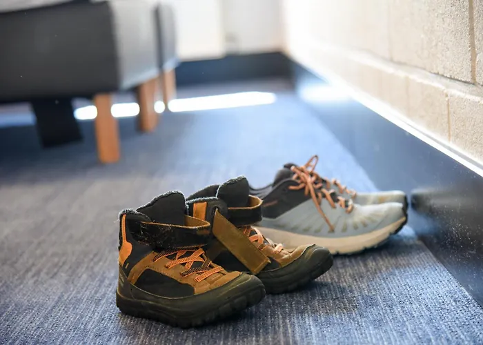 Vakantiedomein Hoge Duin