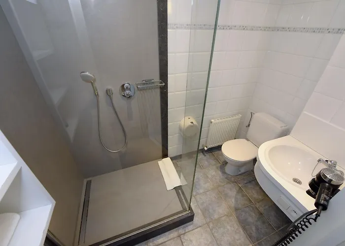 Hotel Vakantiedomein Hoge Duin *